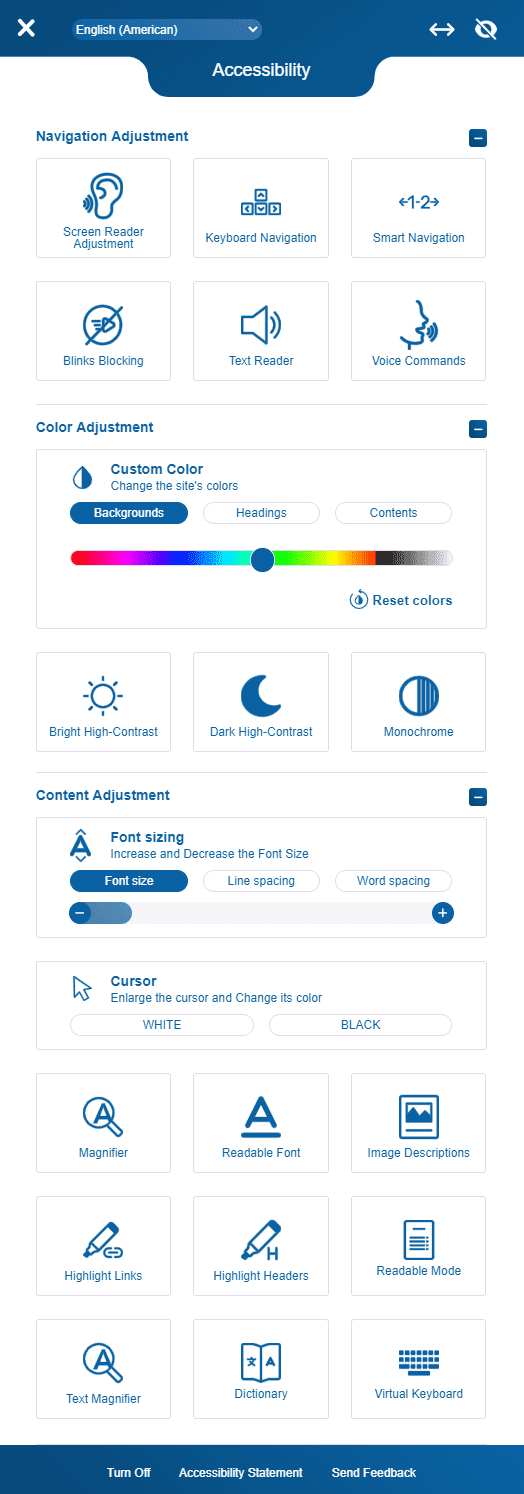 Accessibility-widget-options